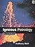 Igneous Petrology by Anthony Hall