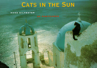 Cats in the Sun (Card Book)