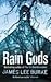 Rain Gods (Hackberry Holland, #2)