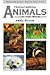 Photographing Animals in th...