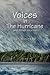 Voices In The Hurricane and other stories by Katia D. Ulysse