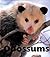 Opossums (Naturebooks)