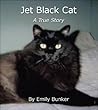 Jet Black Cat