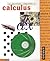 An Electronic Companion to Calculus