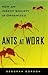 Ants At Work by Deborah M. Gordon