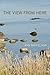 The View from Here by Ann Mihkelson