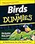 Birds for Dummies