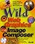 Wild Web Graphics With Micr...