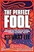 Perfect Fool by Stewart Lee
