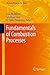 Fundamentals of Combustion Processes (Mechanical Engineering Series)