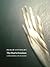 The Poet's Freedom by Susan Stewart