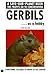 Gerbils As a Hobby (Save-Our-Planet)
