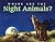 Where Are the Night Animals...