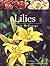 Lilies
