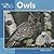 Owls (Our Wild World)