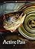 Active Pass by Jane Munro