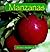Manzanas
