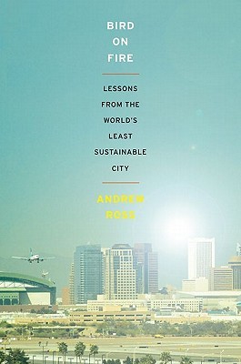 Bird on Fire: Lessons from the World's Least Sustainable City (Hardcover)