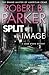 Split Image (Jesse Stone, #9)