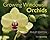Growing Windowsill Orchids