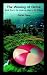 The Wooing of Ozma: Book On...