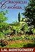 Chronicles of Avonlea