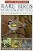 Rare Birds in Britain & Ireland: A Photographic Record (Collins Birding World)
