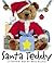 Santa Teddy