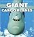 Giant Cargo Planes (Enthusi...