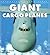 Giant Cargo Planes (Enthusiast Color Series)