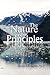 The Nature of Principles