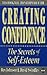Creating Confidence by rex-johnson-david-swindley