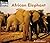 African Elephant (Welcome Books)