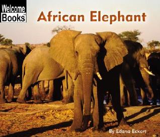 African Elephant (Welcome Books)