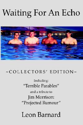 Waiting For An Echo (Paperback)