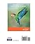 Elementary and Intermediate Algebra for College Students