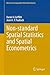 Non-standard Spatial Statistics and Spatial Econometrics (Advances in Geographic Information Science)