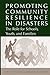 Promoting Community Resilience in Disasters: The Role for Schools, Youth, and Families