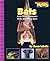 Bats And Other Animals With Amazing Ears by Susan Labella