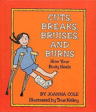 Cuts, Breaks, Bruises and Burns: How Your Body Heals