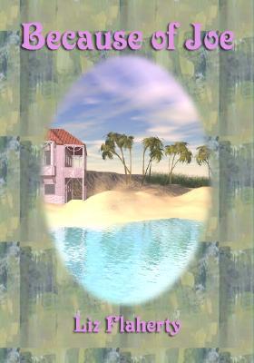 Because of Joe (Paperback)