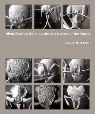 Identification Guide To The Ant Genera Of The World By Barry Bolton