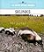 Skunks (A New True Book)