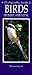 Photographic Guide to Birds...