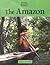 The Amazon (Rivers of the World)