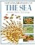 The Sea (the World Around Us)