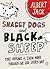 Shaggy Dogs And Black Sheep: The Origin Of Even More Phrases We Use Everyday