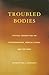 Troubled Bodies: Medical Ethics in the Postmodern Era