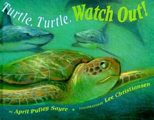 Turtle, Turtle, Watch Out! (Hardcover)