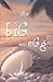The Big Egg